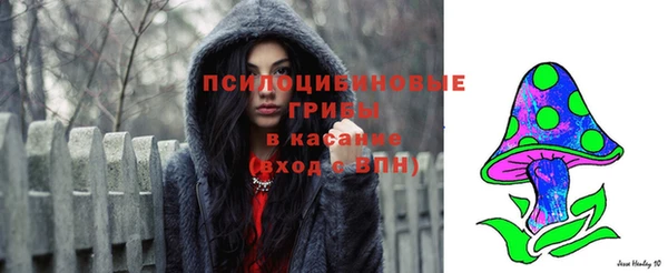 СК Абинск