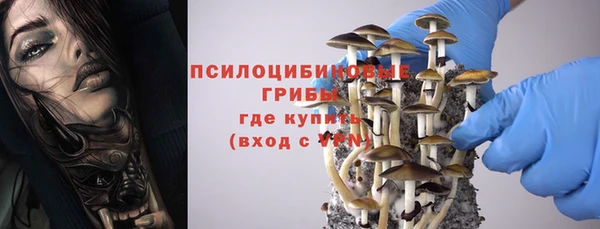 метадон Алексеевка