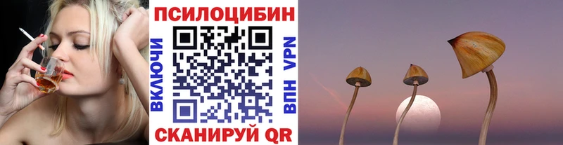где продают   Гусь-Хрустальный  Галлюциногенные грибы Psilocybine cubensis 